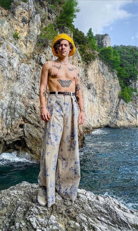 harry styles imdb|Harry Styles .